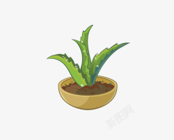 芦荟盆栽素材