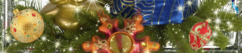 圣诞框架平面png免抠素材_新图网 https://ixintu.com 圣诞背景 底纹边框 边框相框