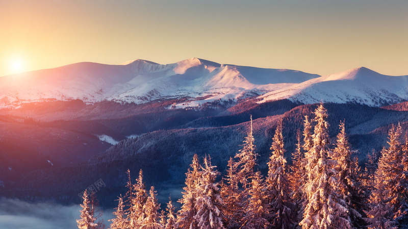 阳光大山雪在树林png免抠素材_新图网 https://ixintu.com 大山 树林 阳光