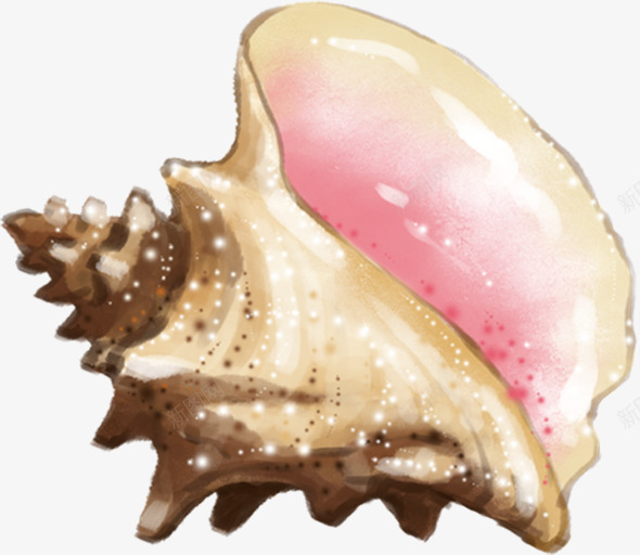 手绘海滩海螺创意png免抠素材_新图网 https://ixintu.com 创意 海滩 海螺