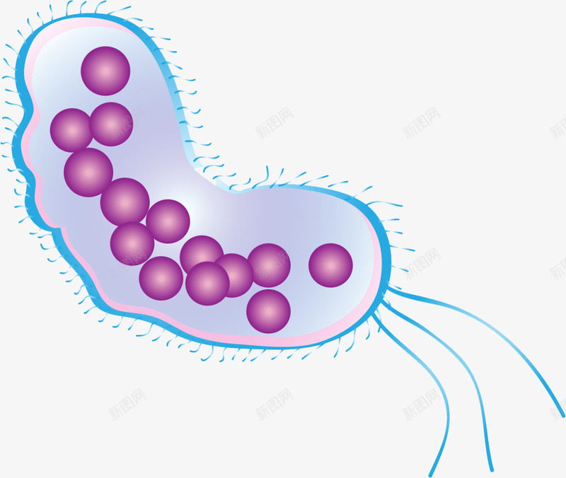 病毒细菌png免抠素材_新图网 https://ixintu.com 医学 微生物 感染 虫形细菌