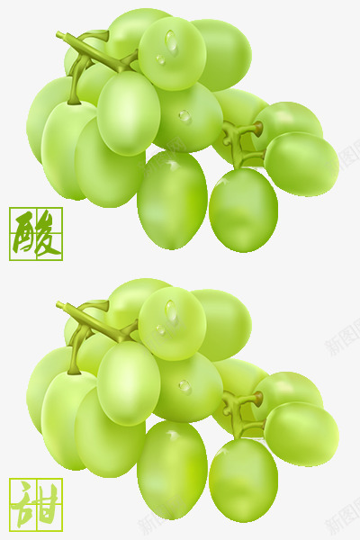 葡萄png免抠素材_新图网 https://ixintu.com 提子 植物 水果 水珠 绿色 逼真 食物
