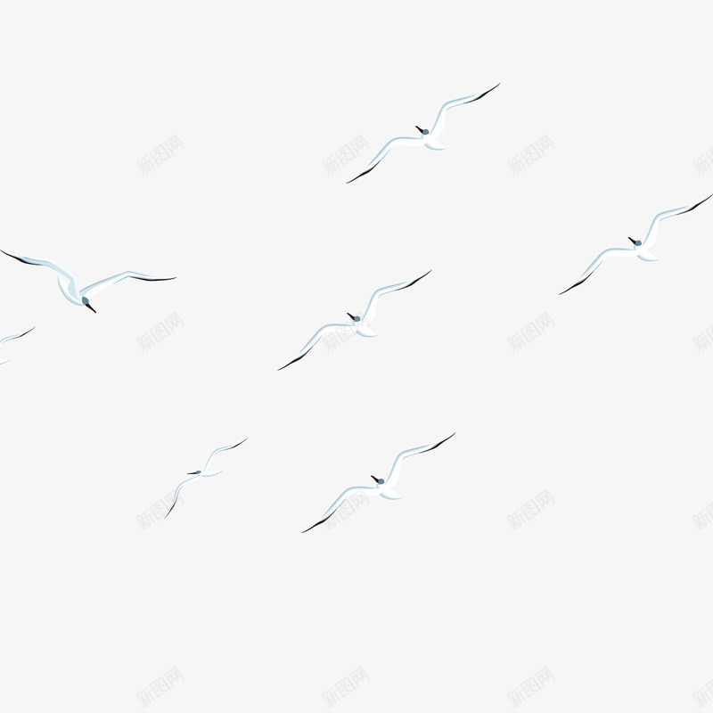 飞着的海欧png免抠素材_新图网 https://ixintu.com 免抠海鸥 海鸥 白色鸟 透明鸟 飞翔