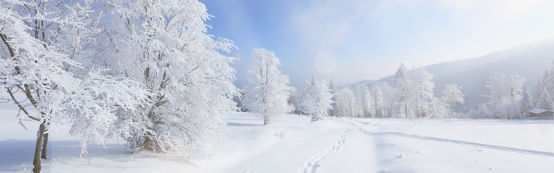摄影白色的雪花世界树木png免抠素材_新图网 https://ixintu.com 世界 摄影 树木 白色 雪花