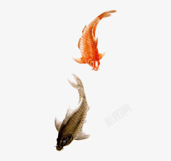 富贵有余中国风传统水墨鱼高清图片