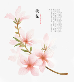 桃花落花唯美古风水彩插画高清图片