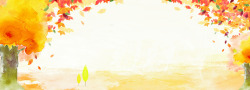 黄枫叶开学季黄我枫叶树林高清图片