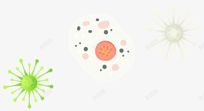 病毒矢量图eps免抠素材_新图网 https://ixintu.com 单细胞 病毒 矢量素材 细菌 矢量图
