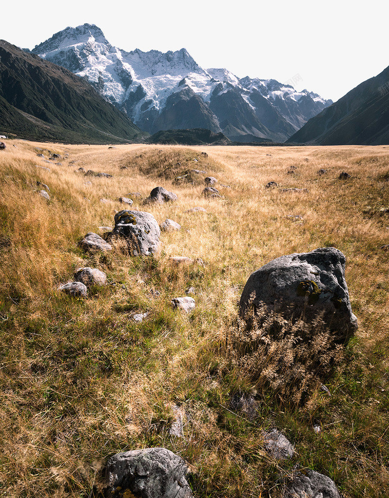 库克雪山png免抠素材_新图网 https://ixintu.com 国外风景 库克山国家公园 新西兰南岛 旅游风景 草原 远山 雪山