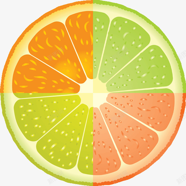 彩色橘子psd免抠素材_新图网 https://ixintu.com 彩橘 橘子 橙子 橙色 绿色