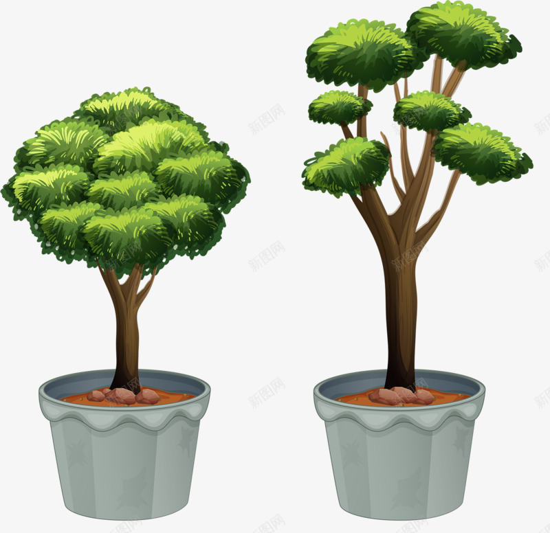 两盆不同类型树png免抠素材_新图网 https://ixintu.com 树叶 树干 树木 盆栽树