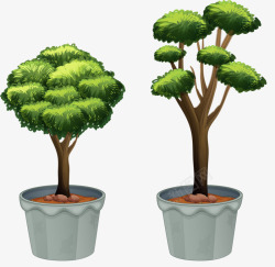 两树缠绕两盆不同类型树高清图片