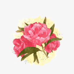 彩绘粉色牡丹花素材