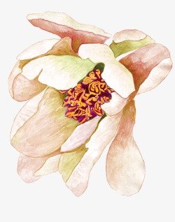 手绘水彩一朵花朵素材