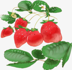手绘草莓绿叶装饰素材