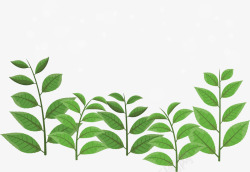 小清新绿色茶叶花纹矢量图素材