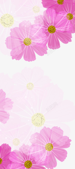 紫色小菊花背景素材