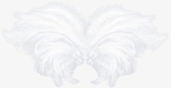 白色漂亮翅膀素材