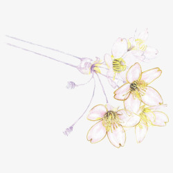 花朵簪子手绘古风花朵发簪高清图片