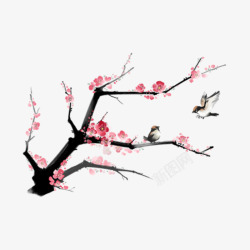 古典插图水墨冬季寒梅小鸟手绘插图高清图片