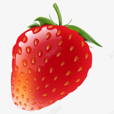 草莓成人内容torrenticons图标图标