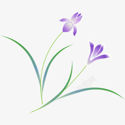 植物的紫色花素材