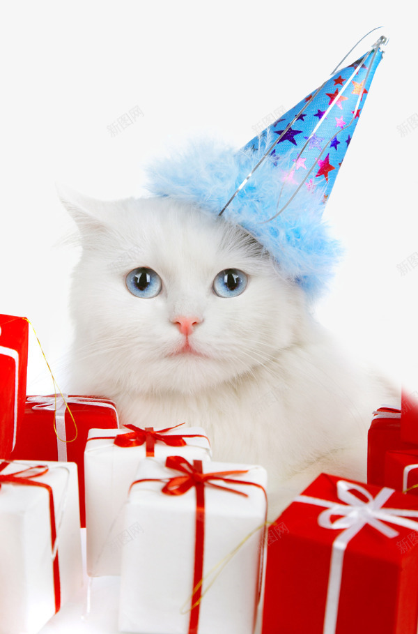 礼物堆上的可爱圣诞小猫png免抠素材_新图网 https://ixintu.com 圣诞小猫 小猫 猫咪 白猫 礼物盒