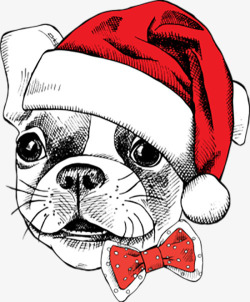 庆祝圣诞节的狗狗素材