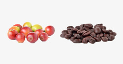 熟透的果实一堆咖啡果和一堆咖啡豆实物高清图片