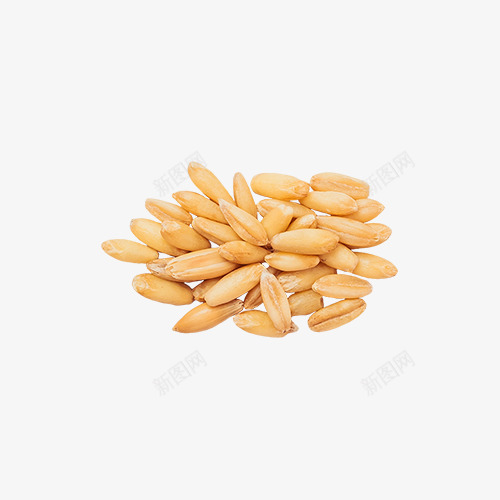 一堆小麦png免抠素材_新图网 https://ixintu.com 小麦 矢量装饰 粮食 装饰 食物 麦子