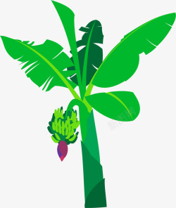 纯绿色卡通香蕉树矢量图素材