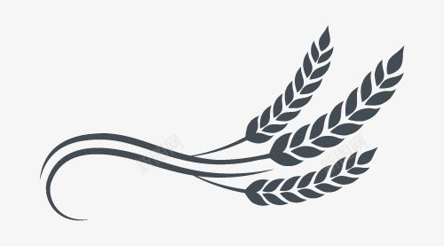 灰色弯曲麦穗麦秆标志png免抠素材_新图网 https://ixintu.com 安全有机 小麦标志 小麦秸秆 小麦麦穗 弯曲形小麦 种子 麦穗简图