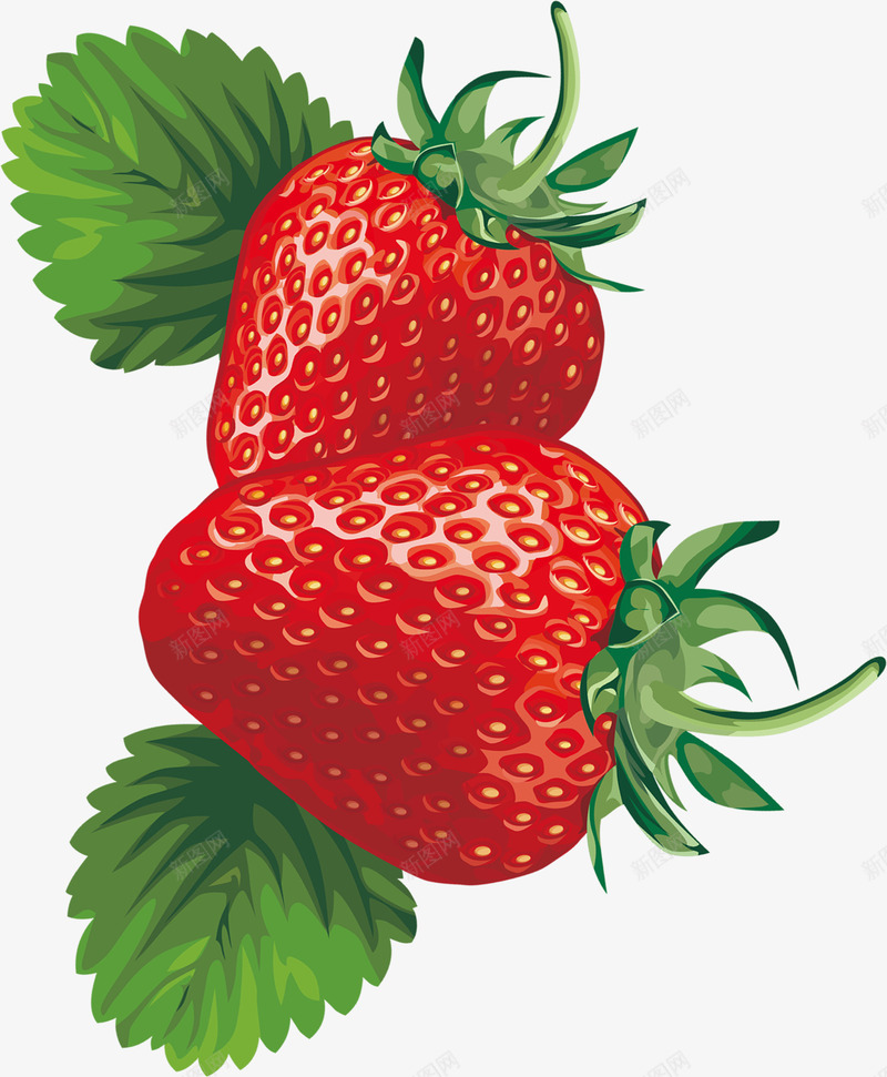 手绘红色草莓装饰png免抠素材_新图网 https://ixintu.com 红色 草莓 装饰