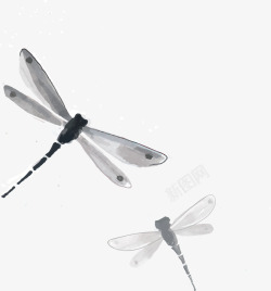 蜻蜓中国风素材
