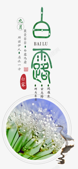 中国范二十四节气白露艺术字高清图片