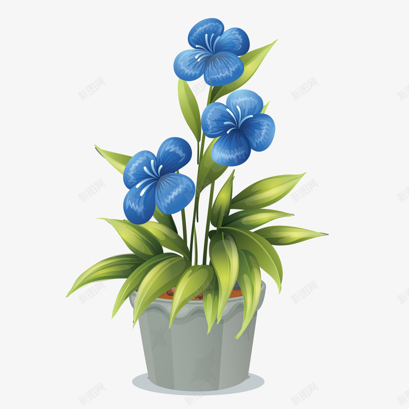 勿忘我png免抠素材_新图网 https://ixintu.com 室内 盆栽矢量 花儿 花朵 蓝色