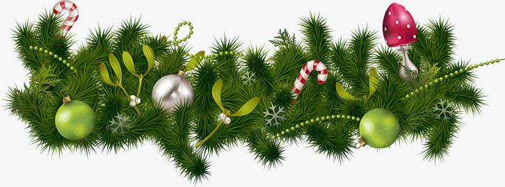 摄影圣诞节绿色植物png免抠素材_新图网 https://ixintu.com 圣诞节 摄影 绿色植物