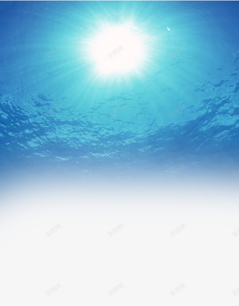 海洋元素卡通元素png免抠素材_新图网 https://ixintu.com 卡通 卡通元素 海洋 海洋元素 海洋背景
