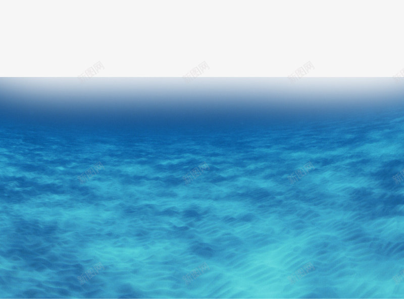 海洋元素卡通元素png免抠素材_新图网 https://ixintu.com 卡通 卡通元素 海洋 海洋元素 海洋背景