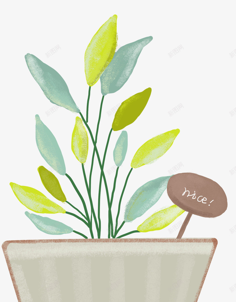 手绘小清新植物盆栽元素png免抠素材_新图网 https://ixintu.com 小清新 手绘插画 手绘盆栽 植物 盆栽 高清植物