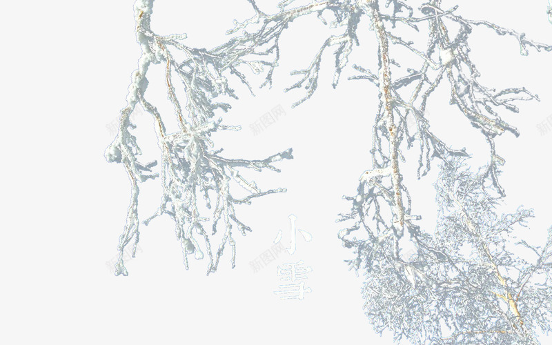 小雪二十四节气png免抠素材_新图网 https://ixintu.com 二十四节气 寒冷 小雪 树枝 雪花
