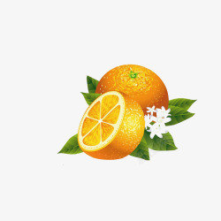 橙果花果茶水果高清图片