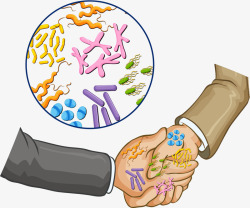 握手细菌矢量图素材