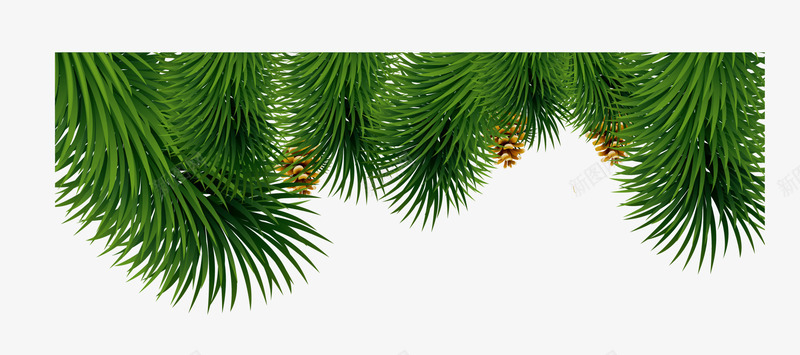 绿色圣诞树树枝png免抠素材_新图网 https://ixintu.com 圣诞节 松果 清新树枝 简约植物 绿色树枝 节日小草