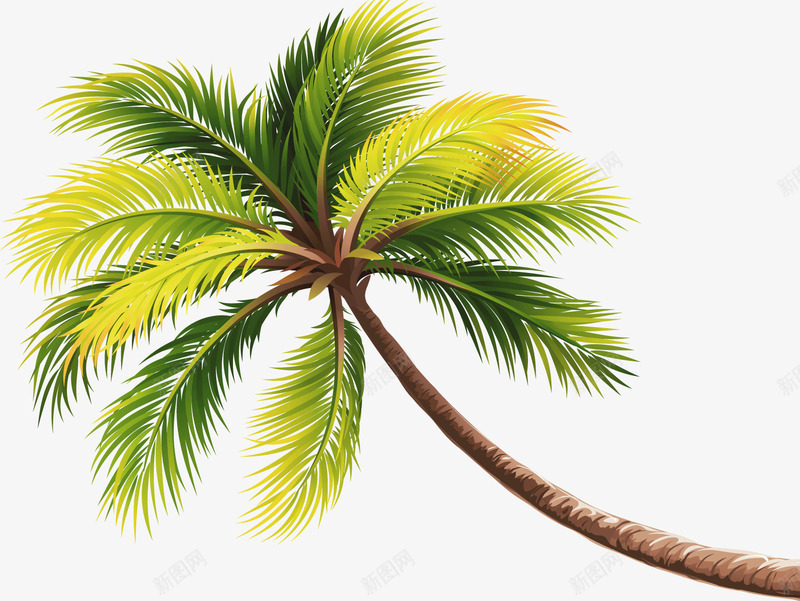 绿色海滩椰子树png免抠素材_新图网 https://ixintu.com 椰子树 海滩 海滩椰子树 绿色