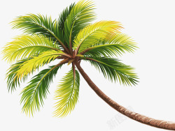 绿色海滩椰子树素材