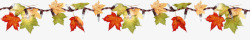 秋色枫叶分割线高清图片