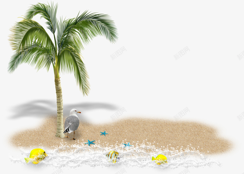 沙滩海鸥椰子树png免抠素材_新图网 https://ixintu.com 俯视椰子树 小鱼 椰子树 水花 沙子 沙滩 海星 海鸥