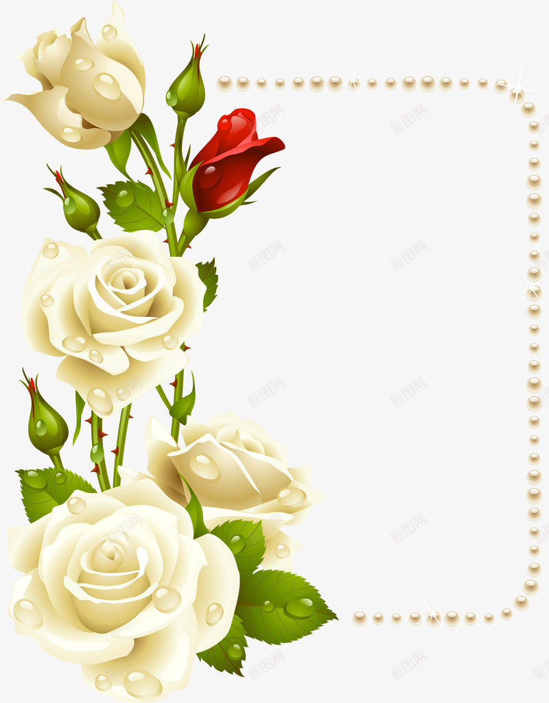 白色玫瑰花与珍珠卡片png免抠素材_新图网 https://ixintu.com 卡片素材 白色玫瑰花 白色玫瑰花与珍珠 白色玫瑰花与珍珠卡片
