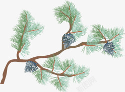 松树枝针松树卡通图高清图片